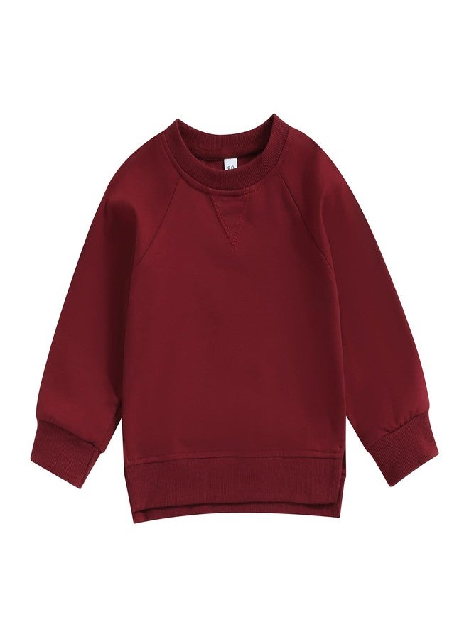 Lukivech Toddler Baby Boy Girl Clothes Solid Color Crewneck Sweatshirt Long Sleeve Pullover T Shirt Tops Fall Winter Outfit (Wine Red, 2-3 Years) - Image 1