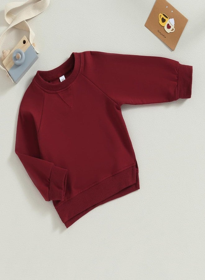 Lukivech Toddler Baby Boy Girl Clothes Solid Color Crewneck Sweatshirt Long Sleeve Pullover T Shirt Tops Fall Winter Outfit (Wine Red, 2-3 Years) - Image 5