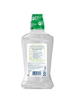 Natural Wicked Fresh! Mouthwash, Cool Mountain Mint, 16 Ounce - pzsku/Z40240926FC459BBFDC6BZ/45/_/1725283495/a6d9aabb-ac67-4280-b05e-0b35ff732f32