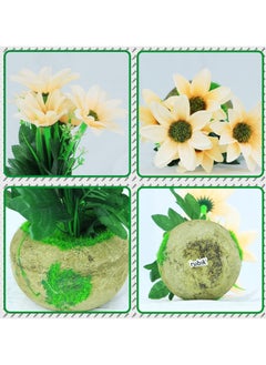 Artificial Gerbera Flower Potted Plant for Indoor Outdoor Office Home Garden Party Decoration (22cm, Green) - pzsku/Z4024983309B0DA7C68DEZ/45/_/1706686064/7ad600c5-2269-4bc8-b3f9-1defdc0e1e2c