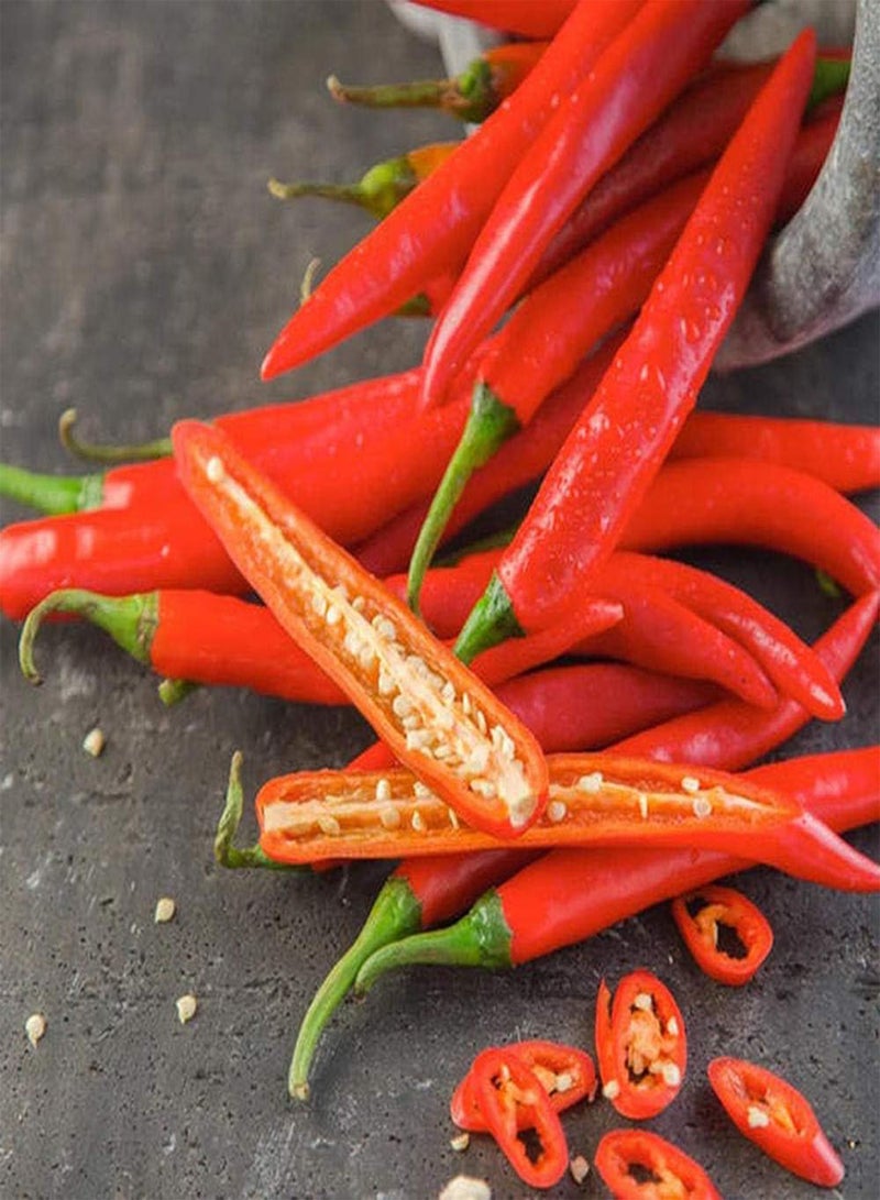 GGOOT 50pcs Pepper Seeds Eye-catching Color Annual Heirloom Vegetables Beautiful Courtyard Scenery Home Garden Year-Round Sowing Harvest Every Year - Image 2