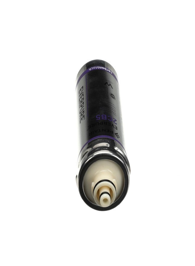 إيفر بيور خرطوشة Everpure 2Cb5 - Image 5