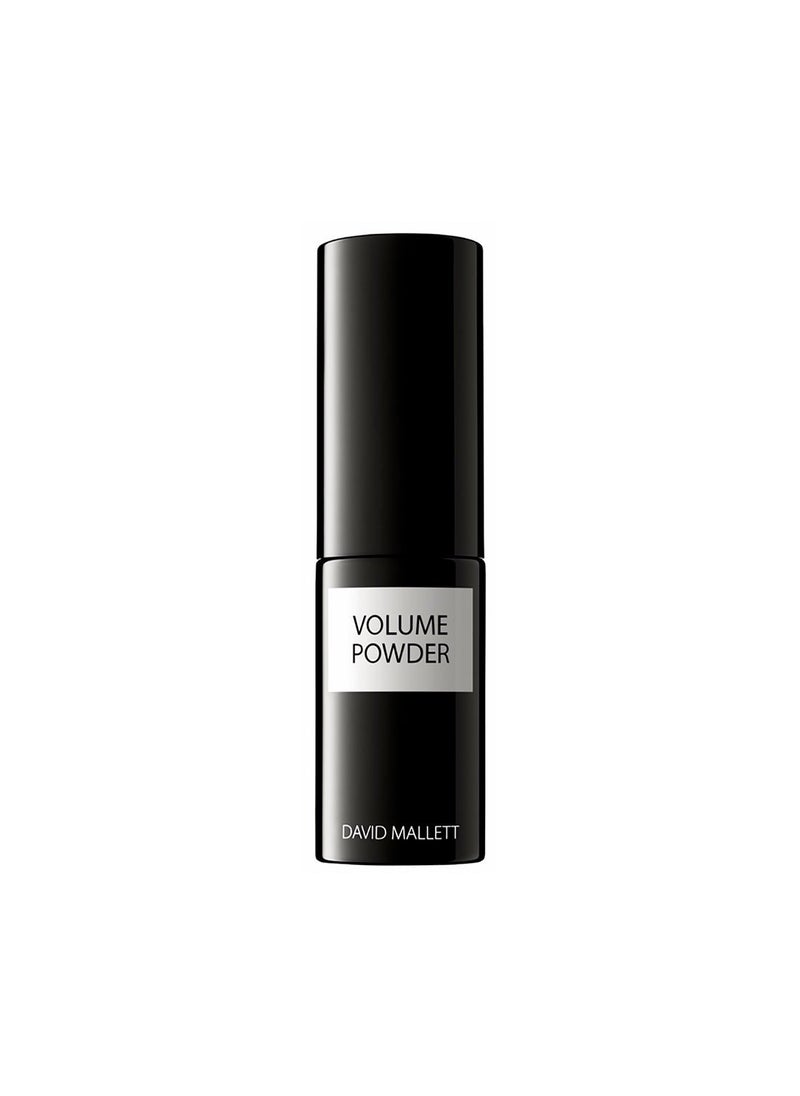 DAVID MALLETT - David Mallett Volume Powder 75g - Image 1