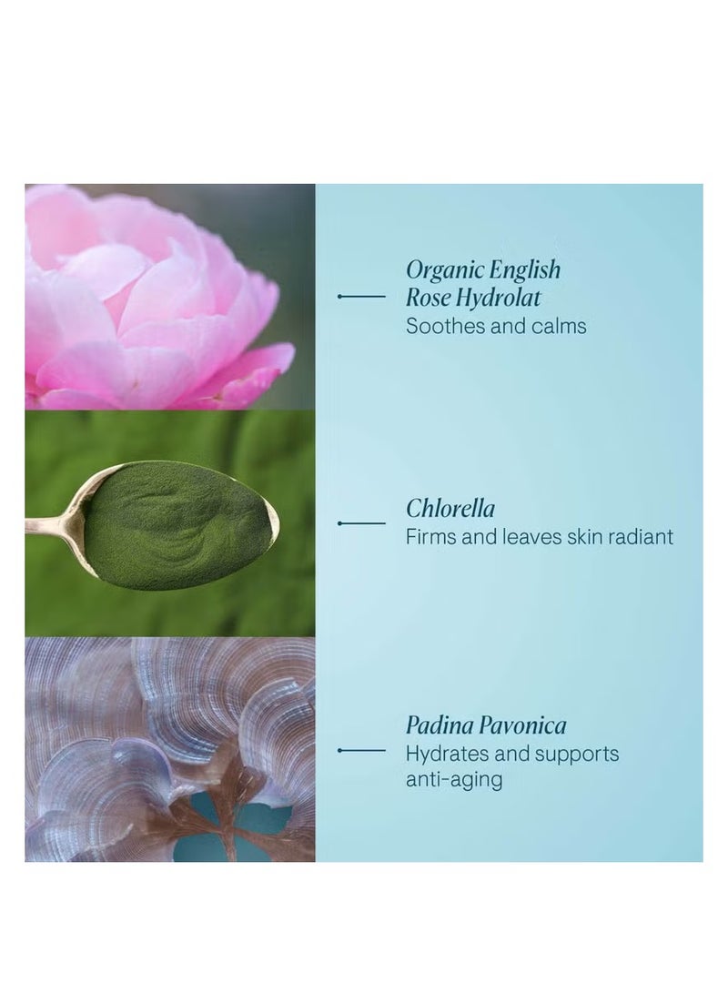 ELEMIS Pro-Collagen Rose Marine Cream 50ml - Image 3