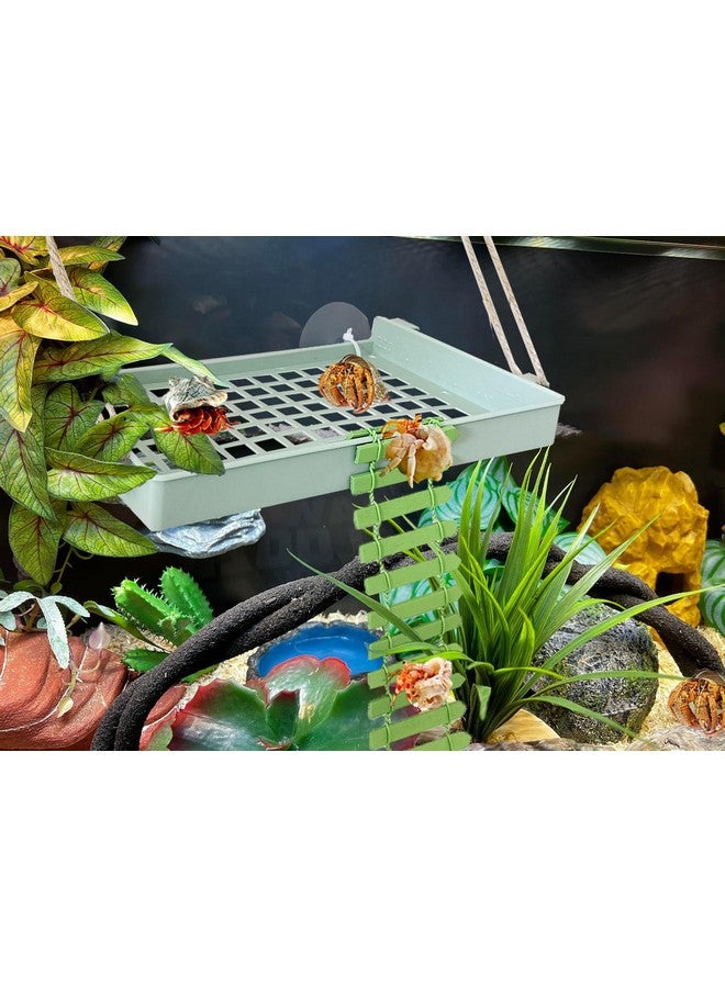 Generic Hermit Crab Climbing Toys Reptile Ladder Plastic Grid Habitat Hammock for Hamster Guinea Pig (Green)  - Image 4