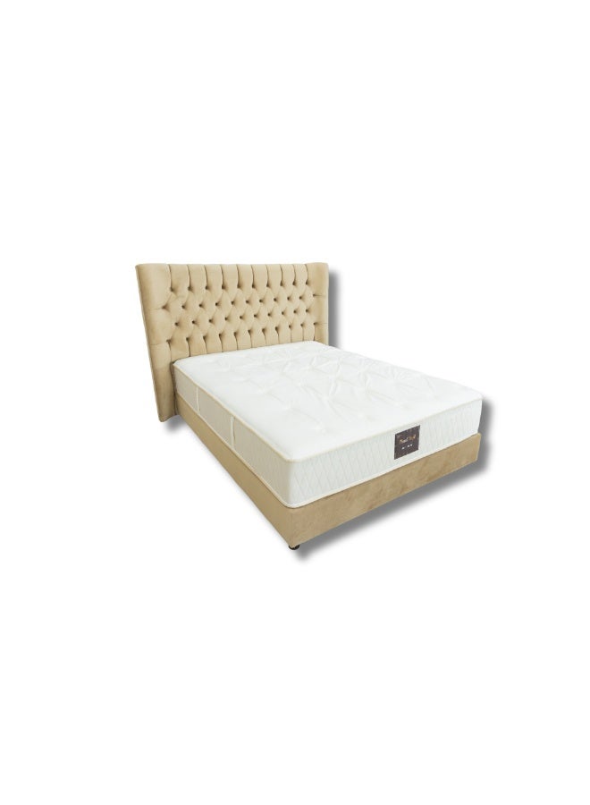 Bless Night BlessNight Pearl Soft Premium Ultra-Soft & Durable Daily Use Essential – Lightweight & Skin-Friendly - Image 2