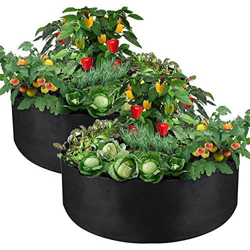 IWNTWY 2-Pack 100 Gallon Grow Bag, Heavy Duty Thickened Fabric Pots Round Raised Garden Bed Planter for Planting Herb Flower Vegetable Potato Plants (50" D x 12" H) - Image 1
