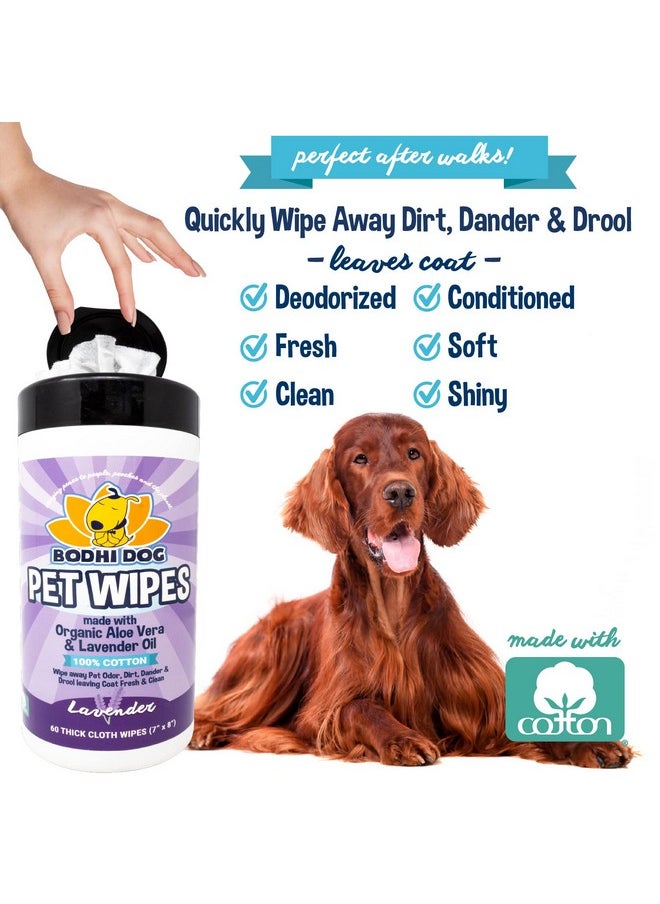 Bodhi Dog - Pet Wipes | Wipes For Dog Grooming | Wipe Away Pet Odors & Deodorizes Coat | No Parabens Or Sls | Large Wet & Thick Pet Wipes | Best For Cleaning Dogs And Cats (Lavender, 60Ct) - Image 1