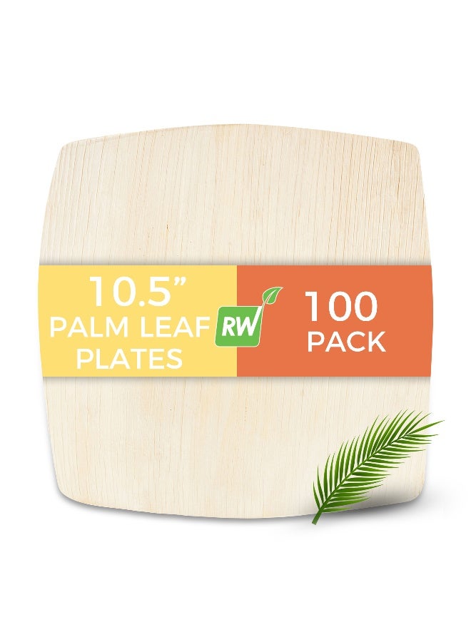 Restaurantware Midori 10.5 x 10.5 Inch Extra Large Square Palm Plates, 100 Microwavable Palm Leaf Plates - Freezable, Sustainable, Areca Palm Leaf Plates, Oven-Ready, For Hot & Cold Foods - Image 2