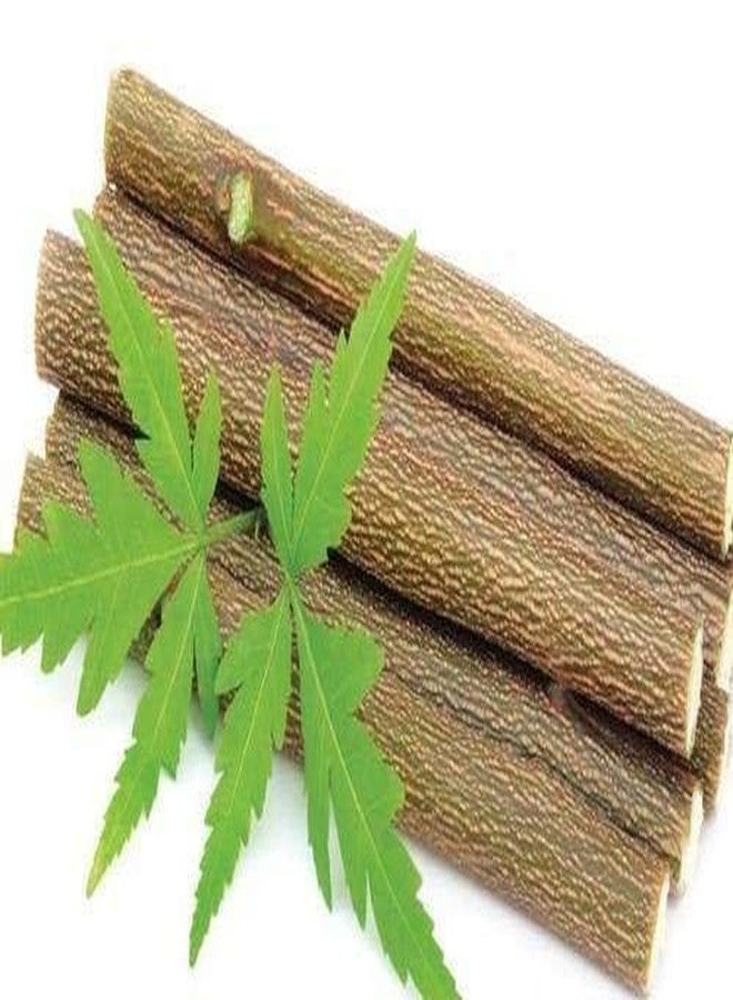 H B MSALA (DEVICE) Neem wooden combs for women men hair | Wide Toothed Organic Comb (Brown) Handmade for loosening curls | Eco-Friendly Great for Scalp and Hair Health Non Static Detangle Comb (pack of 2) - Image 5