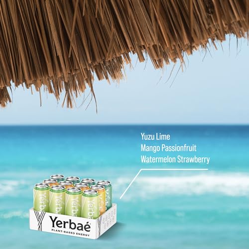 Yerbaé Variety Flex Pack, Functional Energy Drink - 0 Sugar, 0 Calories, 0 Carbs. Yerbae is Energized by Yerba Mate, Plant-Based, Healthy Alternative to Sugary Energy Beverages, 16oz cans (12 Pack) - Image 4