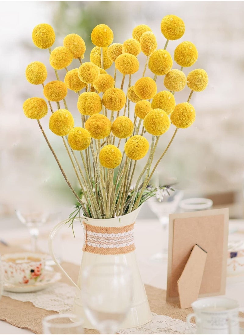 Y&D - 30 PCS Natural Dried Flowers, Golden Balls Hammer Flowers Flower Bouquet, Floral Bouquet for Arrangement Wedding Home Tall Vase Decoration, Craspedia Billy - Image 1