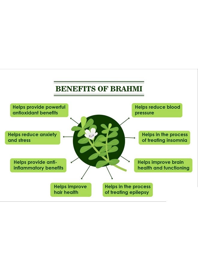 Heilen Biopharm Heilen Biopharm Brahmi Powder For Hair Improvement - 200 g Pack of 1  - Image 5