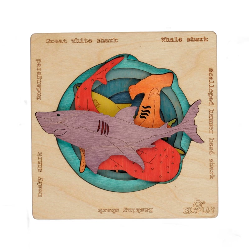 EKOPLAY Endangered Sharks Multilayered Wooden Jigsaw Puzzles for Kids Hammerhead Great White Whale Dusky Basking Learning Toy Gift for Boys Girls Ages 3 Years and Above - Image 2