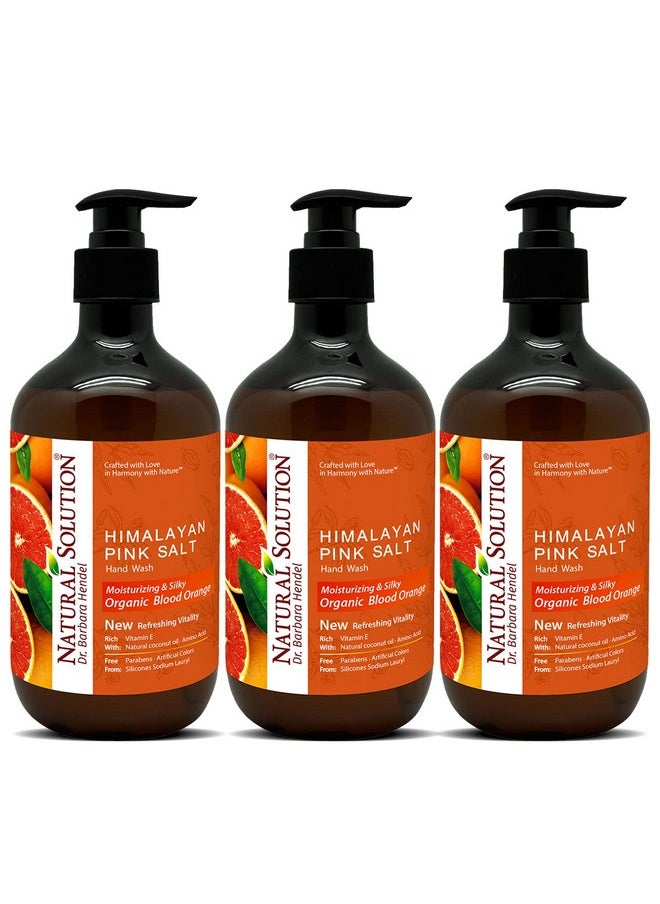 Natural Solution - Hand Wash Rich In Moisturizing Blood Orange & Himalayan Pink Salt Liquid Soap14 Oz Each (Pack Of 3) - Image 1