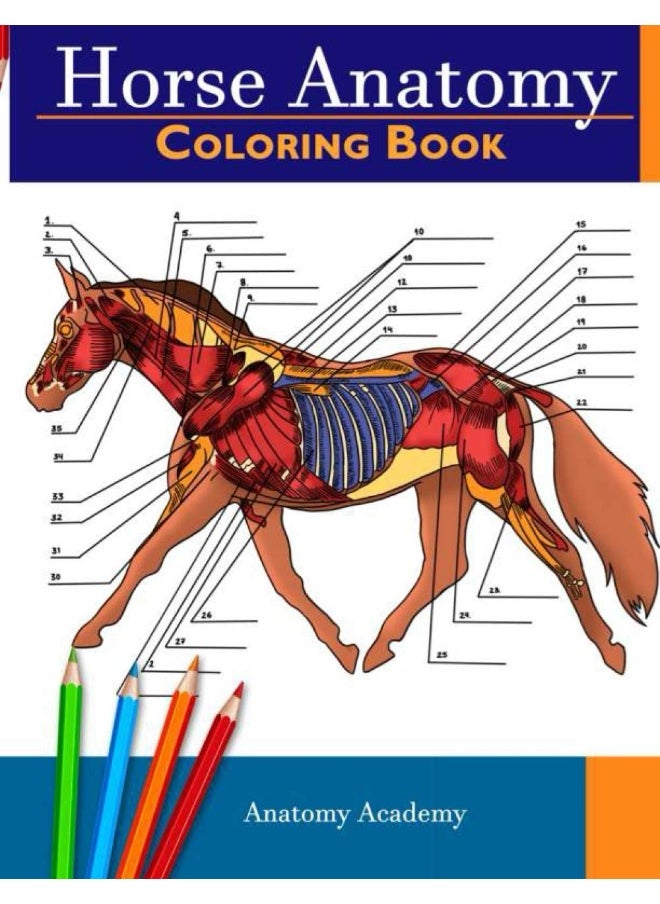 Horse Anatomy Coloring Book: Incredibly Detailed Self-Test Equine Anatomy Color workbook | Perfect Gift for Veterinary Students, Horse Lovers & Adults  - Image 1