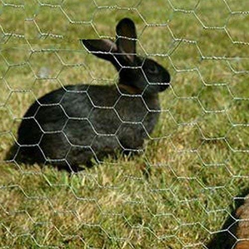 SAI PRASEEDA Chicken Poultry Wire Garden Fencing Iron net Anti Bird 27Inches/40 Feets Netting Uv Stablized with 6 Months Guarantee Free 1 Cutter,100 PVC Wire Tags FN:26 - Image 2