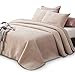 KASENTEX Plush Poly-Velvet Lavish Design Quilt Set with Brushed Microfiber - Luxurious Bedding Soft & Warm Coverlet - - Image 2