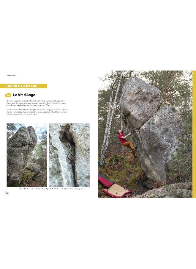 Bleau Blocs: 100 of the finest boulder problems in the Fontainebleau forest