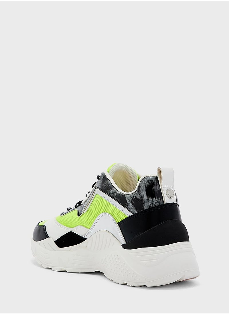 STEVE MADDEN - Antonia Low Top Sneakers - Image 1