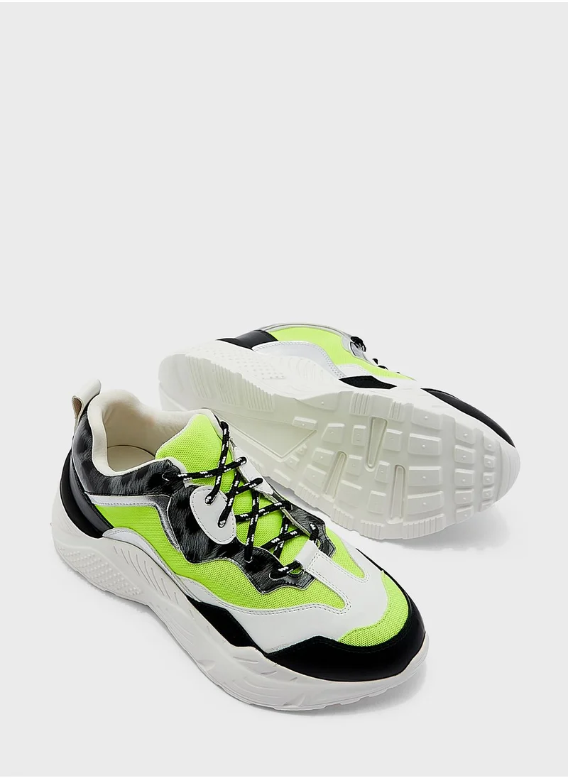 STEVE MADDEN Antonia Low Top Sneakers