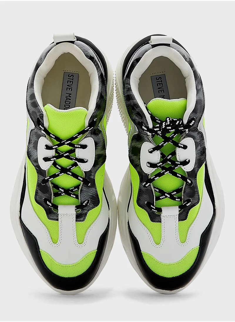 STEVE MADDEN Antonia Low Top Sneakers