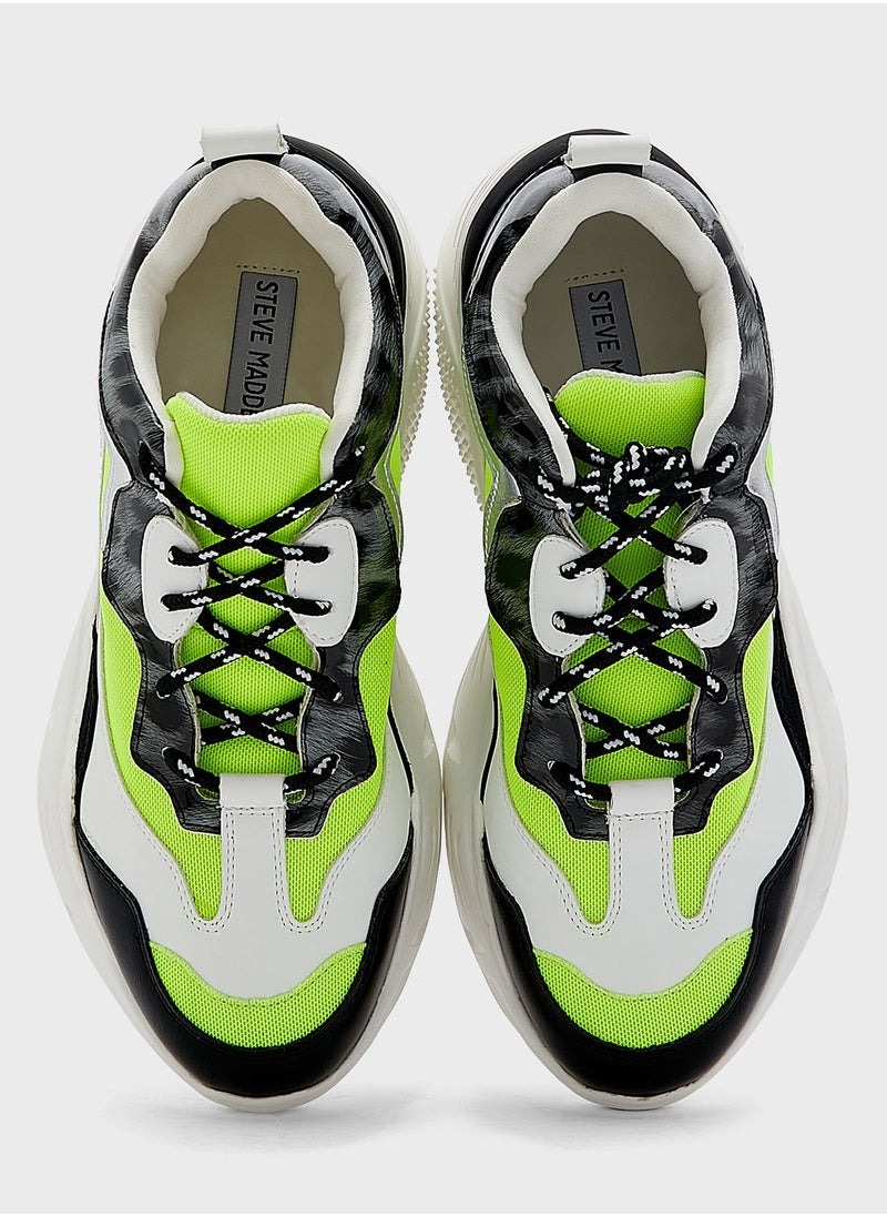 STEVE MADDEN - Antonia Low Top Sneakers - Image 1