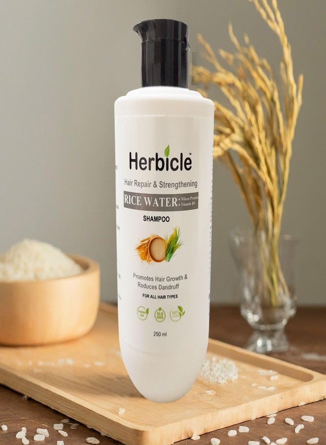 Herbicle شامبو هيربيكل بماء الأرز وبروتين القمح وفيتامين B5 لإصلاح وتقوية الشعر، طبيعي 100%، لجميع أنواع الشعر، عبوة من قطعتين، 250 مل - Image 3