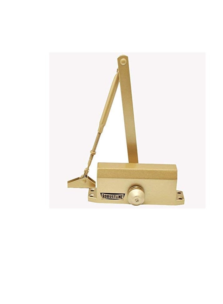 ROBUSTLINE ROBUSTLINE Automatic Adjustable Door Closer | 45-60 KG Capacity | Gold Color - Image 1
