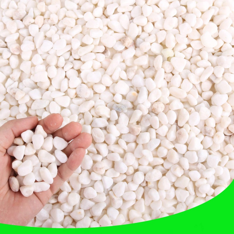 CJGQ White Pebbles for Plants Garden Vases 3 lb White Rocks Gravel Decorative Stone 1/2" - Image 1