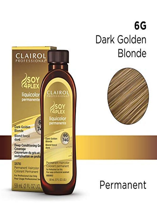 CLAIROL PROFESSIONAL صبغة الشعر الدائمة Liquicolor للشعر الأشقر، 6 جرام أشقر ذهبي غامق، 2 أونصة  - Image 2
