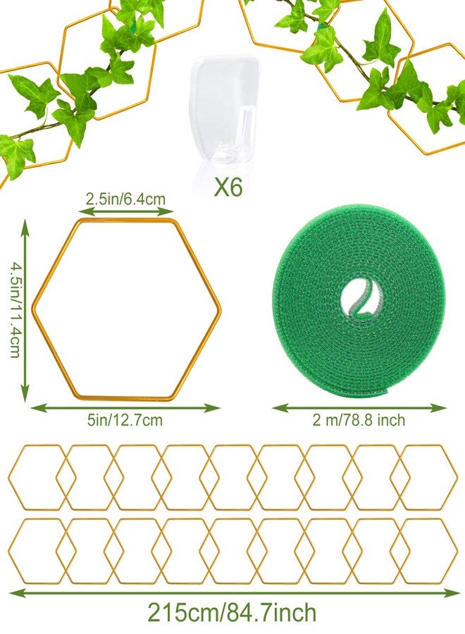 sousac 18 Pcs Garden Chain Trellis for Climbing Plants Indoor Outdoor, House Potted Plant Accessories for Hoyas, Ivy, Monstera and More, DIY Wall Trellis Plant Support with Hooks and Ties (Gold) - Image 2