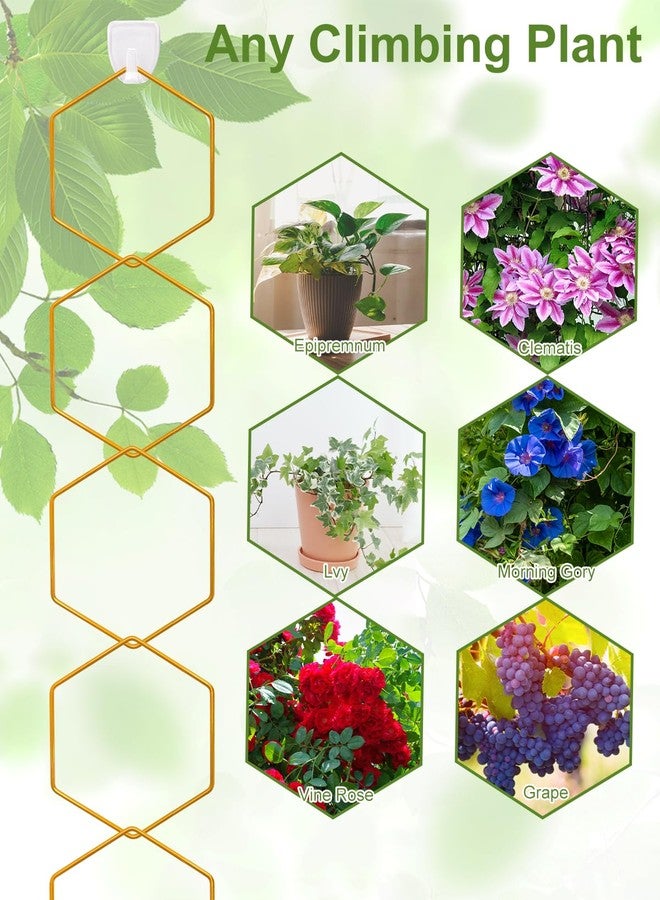 sousac 18 Pcs Garden Chain Trellis for Climbing Plants Indoor Outdoor, House Potted Plant Accessories for Hoyas, Ivy, Monstera and More, DIY Wall Trellis Plant Support with Hooks and Ties (Gold) - Image 5