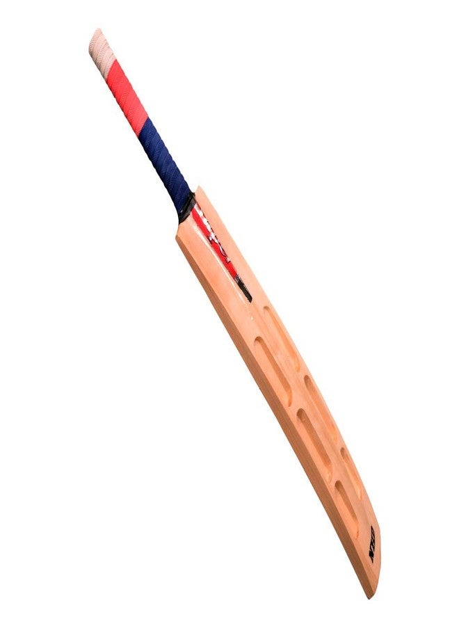 NHD Super Gold SG6B2 Scooped Kashmir Willow Cricket Bat for Tennis Ball (33-34 Inches) - Image 5