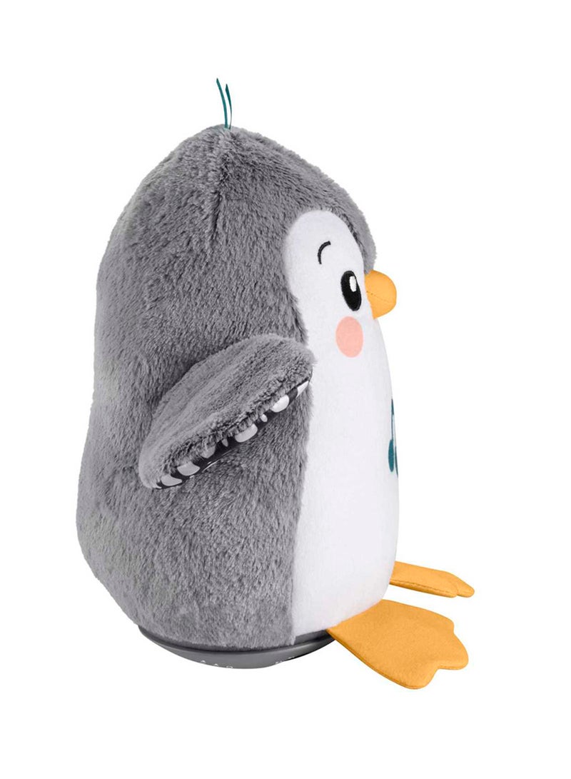 Fisher-Price لعبة بطن الطفل - بطريق متأرجح ومتحرك، قماش مع موسيقى وحركة للعب الحسي للمواليد الجدد من عمر 0+ أشهر - Image 5