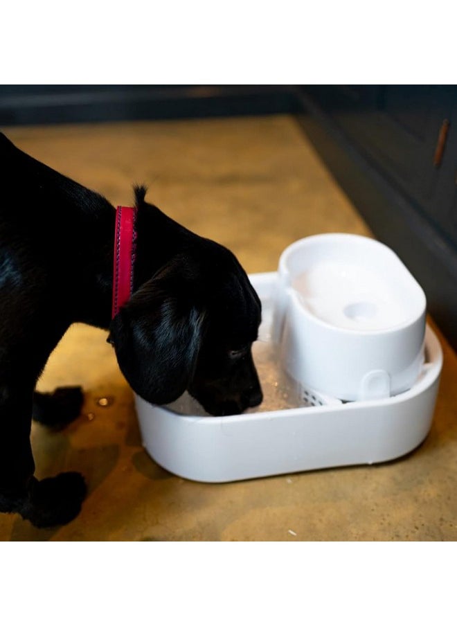 Dog Mate - Large Pet Fountain For Dogs And Cats With Included Filter  200 Fl. Oz. Capacity - Image 1