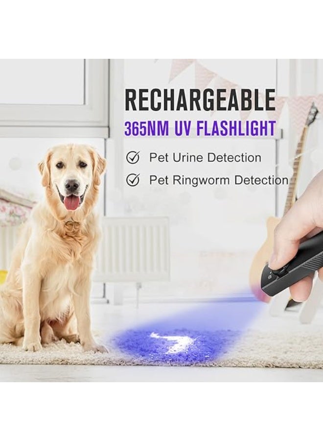 أولايت مصابيح يدوية - Image 2