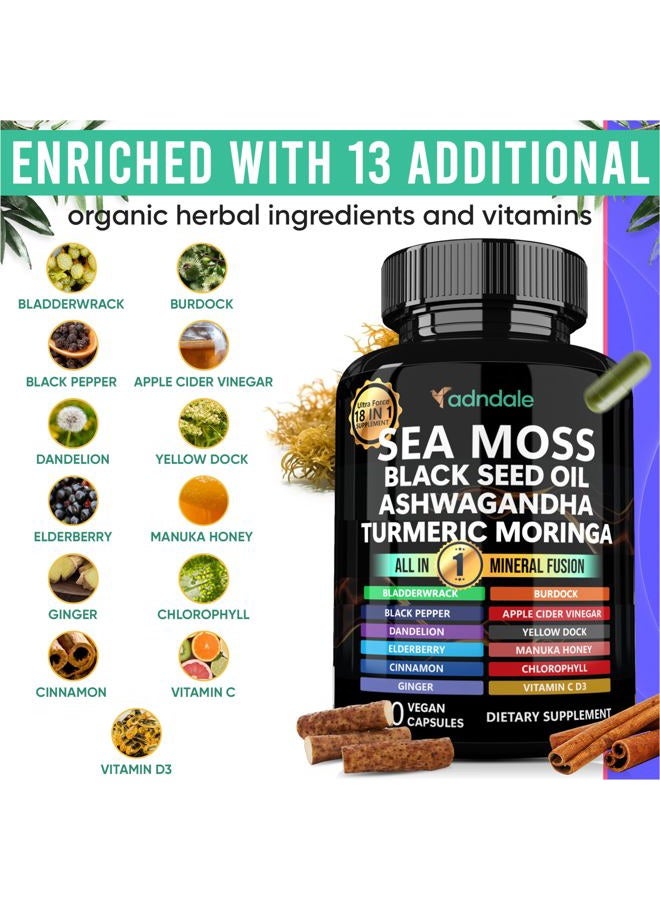 Adndale كبسولات طحالب البحر وزيت الحبة السوداء والأشواغاندا والزنجبيل - Image 4