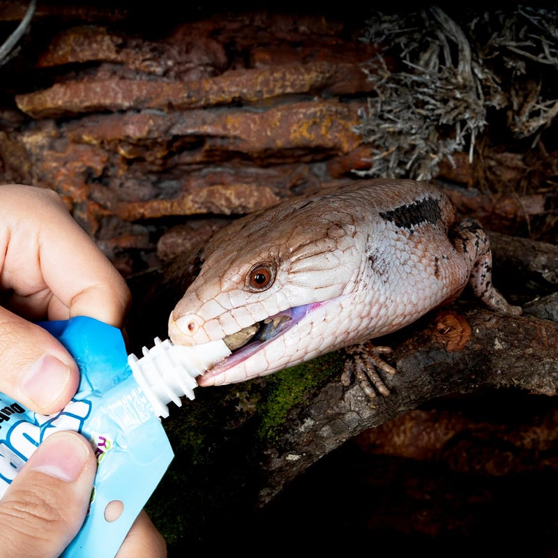 REPTIZOO FRIENDLY Crested Gecko Food Insect Puree, Dubia Paste Reptile Food Made with Fresh Insects 2.82oz - Image 2