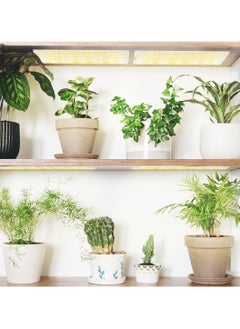Generic Planting growing LED Lighting set of two 30x8  - Image 4