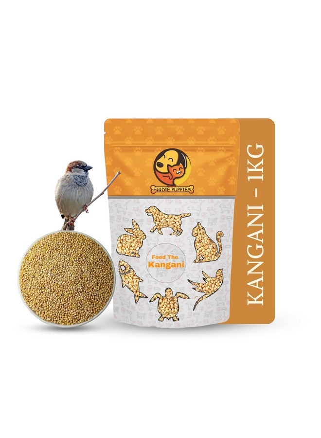 طعام الطيور من بذور الدخن كانجني - (1 كجم، كيس)، نظام غذائي متوازن غني بالألياف ومغذي يوميًا لجميع أنواع الطيور - Image 1