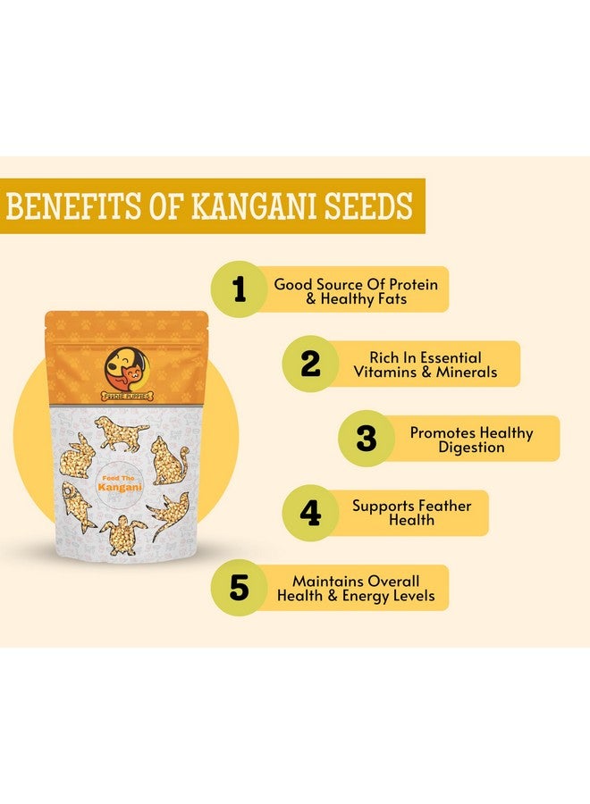طعام الطيور من بذور الدخن كانجني - (1 كجم، كيس)، نظام غذائي متوازن غني بالألياف ومغذي يوميًا لجميع أنواع الطيور - Image 2