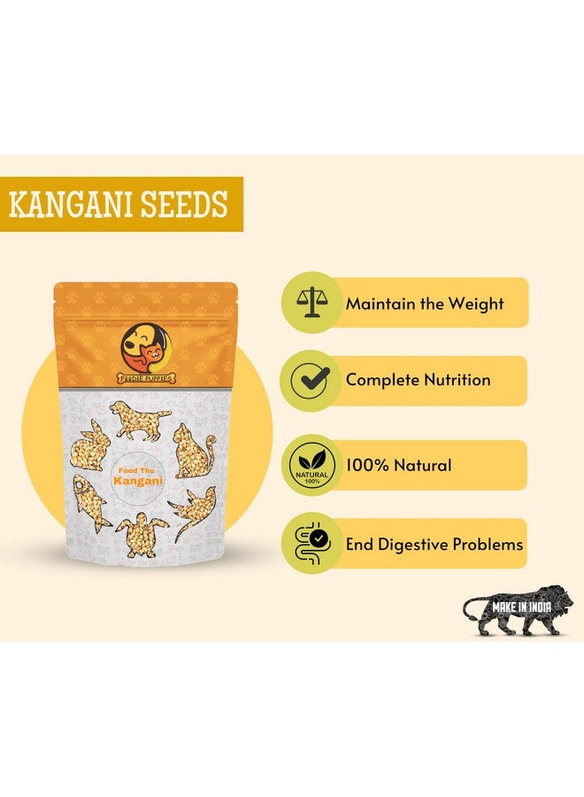 طعام الطيور من بذور الدخن كانجني - (1 كجم، كيس)، نظام غذائي متوازن غني بالألياف ومغذي يوميًا لجميع أنواع الطيور - Image 4