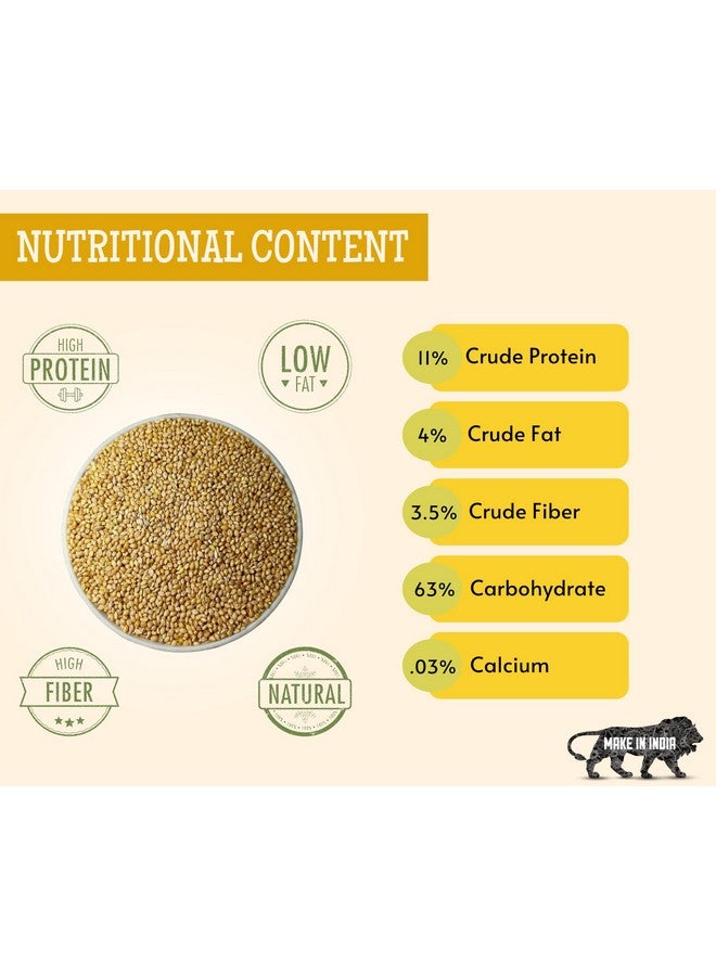 طعام الطيور من بذور الدخن كانجني - (1 كجم، كيس)، نظام غذائي متوازن غني بالألياف ومغذي يوميًا لجميع أنواع الطيور - Image 3