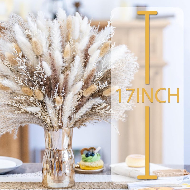 FloraDream 440PCS Natural Pampas Grass Decor Bouquet | Boho Dried Floral Arrangement Centerpiece Table Decor Wedding Decor Rustic Decor (440PCS) - Image 3