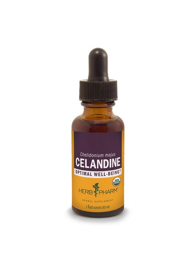 Herb Pharm Certified Organic Celandine Liquid Extract, 1 Fl Oz