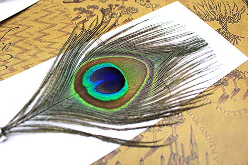 OPENDGO Peacock Feather Ballpoint Pen,Black Ink Vintage Feather Quill Refined Plated Rod Quill Ballpoint Pen For School Writing ▏Wedding Gift Signature Pen (1*Peacock Feather Pen) - Image 3