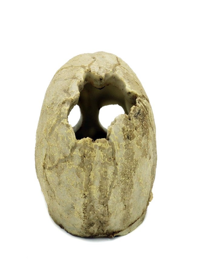 JIHAQUA Aquarium Resin Skull, Reptile Tank Accessories Ornament Basking Snake Hide Decor Habitat - Image 3