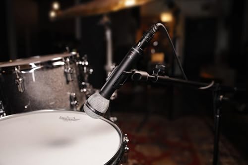 Beyer Dynamic Beyerdynamic M 88 Dynamic Microphone - Hypercardioid *New* - Image 4