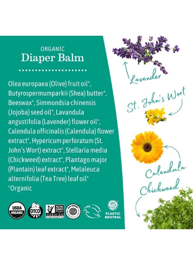 Earth Mama - Earth Mama Organic Nipple Butter™ + Organic Diaper Balm | Sensitive Skincare BFF Breastfeeding Essentials & Baby Cream Bundle - Image 1